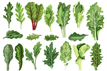 abundance of leafy greens in plant foods, demonstrating the versatility and bounty of nature. - obrazy, fototapety, plakaty