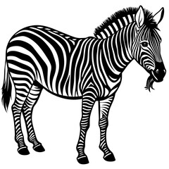 Fototapeta na wymiar zebra-is-eat vector design 