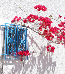 Tunezja Djerbahood, 04 kwiecień 2024, ozdobna krata na oknie i kwiaty 