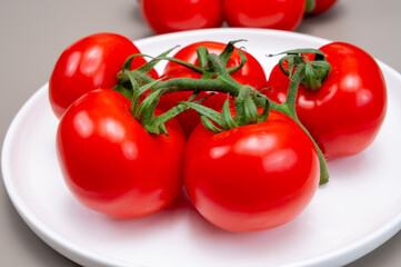 Red ripe tasty Dutch tomatoes growing indoor in greenhouse all seasons, food industry in Netherlands close up