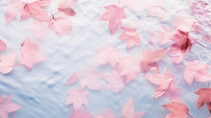 Pink leaves on the surface of the water. Beautiful background with water ripples for product presentation. Summer refreshing background.