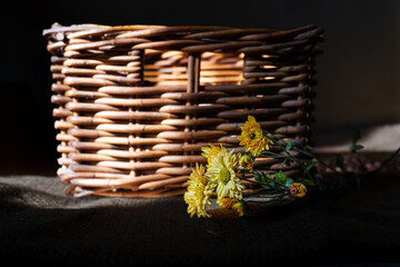 Close up of a beautiful dandelion flower in a wicker basket