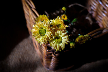 Close up of a beautiful flower in a wicker basket