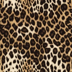
Leopard pattern background leopard texture, wild cat print, leopard spots real hair
