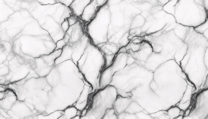 A seamless of high-quality marble texture with intricate grey veining on a white background. The marble look polished - obrazy, fototapety, plakaty