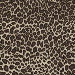 leopard background texture cat real hair stylish design leopard