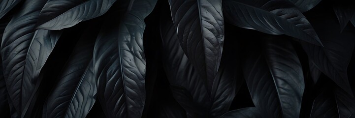 Background with dark tropical leaves, fresh flat background. Flat lay. Nature concept