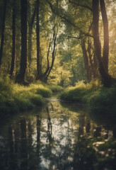 Obraz premium Illustration of the forest. Trees, shrubs and thickets in the form of silhouettes. River, stream in the forest