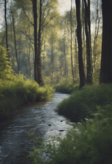 Illustration of the forest. Trees, shrubs and thickets in the form of silhouettes. River, stream in the forest