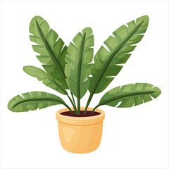 Vector illustration of a potted houseplant with leaves