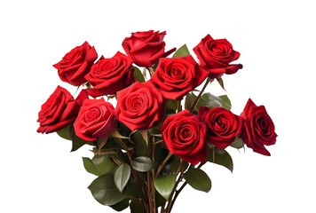 bouquet of red roses isolated on transparent background, PNG, cut out