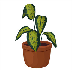 Vector illustration of a potted houseplant with leaves