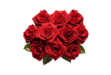 bouquet of red roses isolated on transparent background, PNG, cut out