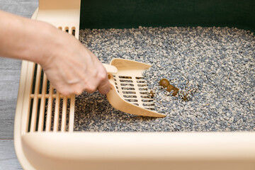 man removing cat poop from litter tray. - obrazy, fototapety, plakaty