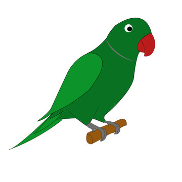Green parot simple clip art illustrator image.