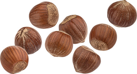 Hazelnut isolated on white background