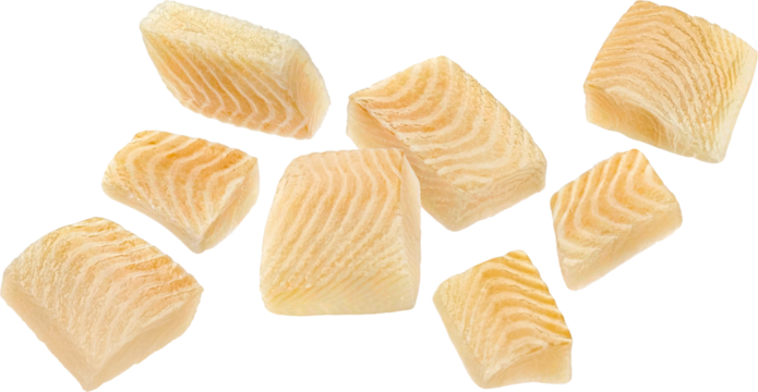 Flounder fish fillet pieces isolated