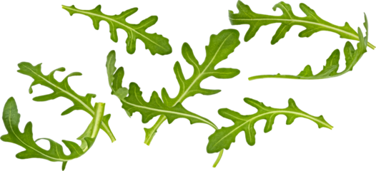 Rucola leaves, falling arugula salad isolated