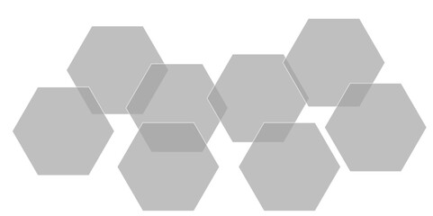 Abstract gray hexagon and hexagonal lines on white background. abstract 3d hexagonal background with shadow. Vector illustration. Hexagonal honeycomb pattern background with space for text.