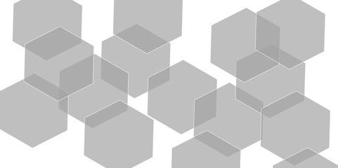 Abstract gray hexagon and hexagonal lines on white background. abstract 3d hexagonal background with shadow. Vector illustration. Hexagonal honeycomb pattern background with space for text.