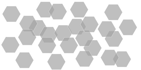 Abstract gray hexagon and hexagonal lines on white background. abstract 3d hexagonal background with shadow. Vector illustration. Hexagonal honeycomb pattern background with space for text.