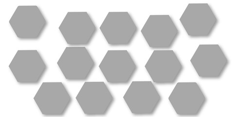 Abstract gray hexagon and hexagonal lines on white background. abstract 3d hexagonal background with shadow. Vector illustration. Hexagonal honeycomb pattern background with space for text.