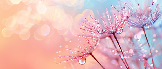 Dew-covered dandelion seeds against a bokeh pink background. Minimal banner with copy space. Generative AI