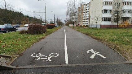Asphalted sidewalks and a bike path are laid between the carriageway of the street with parked cars and residential buildings. Shrubs and trees grow on grassy lawns. Cloudy autumn weather