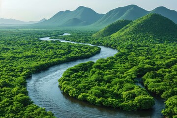 Fototapeta premium Aerial view of a winding river in a rainforest. The winding river carves its way through the dense foliage, a lifeline for countless species.