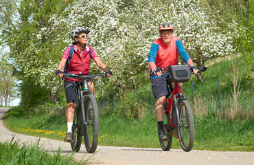 happy senior couple cycling with their electric bicycles in springtime between bloomimg trees and rape  fields - 787408307