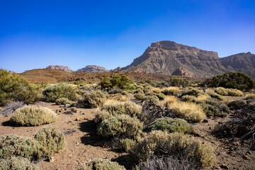 Fototapeta na wymiar Teide National Park desert in Tenerife island