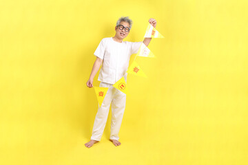 Chinese Vegetarian Festival flag