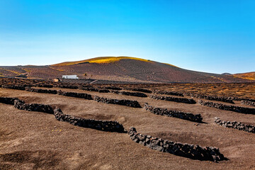 Volcanic landscape, La Geria, Island Lanzarote, Canary Islands, Spain, Europe.