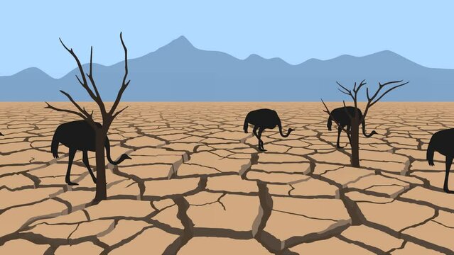 Animation with ostriches walking on the cracking dry earth (seamless loop)