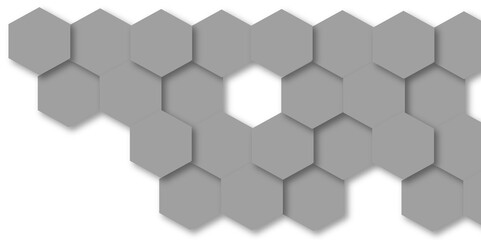 Fototapeta premium Abstract gray hexagon and hexagonal lines on white background. abstract 3d hexagonal background with shadow. Vector illustration. Hexagonal honeycomb pattern background with space for text.