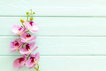 Blooming orchid branch with white and purple flowers on the table