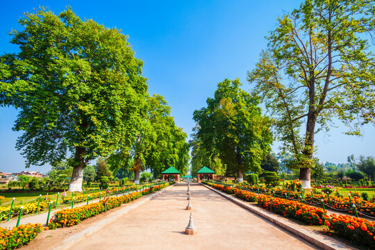 Garden in Srinagar city, India