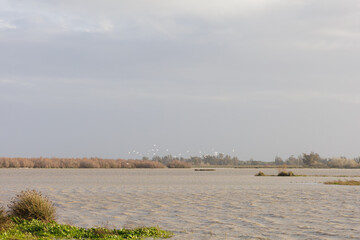 Marismas de Do&ntilde;ana