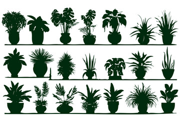 A row of potted plants are lined up on a shelf. The plants are all different sizes and shapes, but they all have one thing in common: they are all green