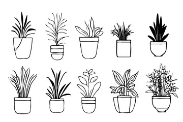 A set of potted plants are drawn in black and white. The plants are of various sizes and shapes, and they are arranged in a row. Concept of order and organization