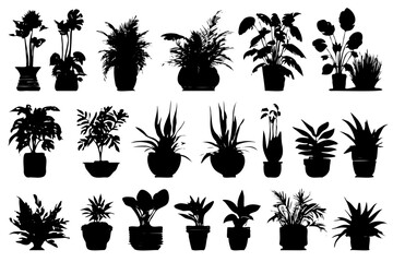 A collection of potted plants in various sizes and shapes. The plants are all black and the background is white. Concept of calm and serenity, as the plants are all in their natural state