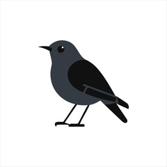 bird silhouettes on a white background. Vector illustration. isolated bird flying. tattoo design. Vector elements for design