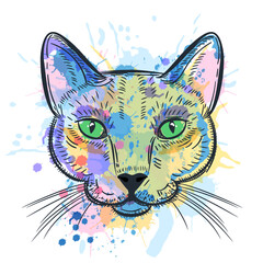 Cat portrait watercolor colorful drawing. Vector sketch illustration of cute kitten head. Fashion print or poster design - 787425525