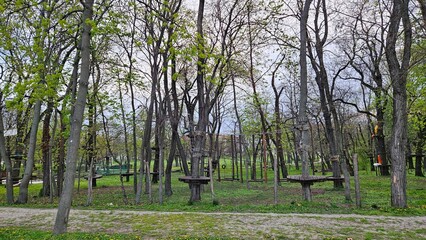 Tranquil Park with Benches