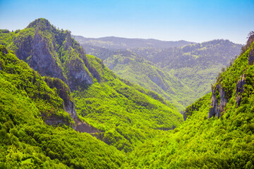Tara river canyon in Montenegro - obrazy, fototapety, plakaty