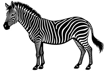Zebra Silhouette vector illustration white background