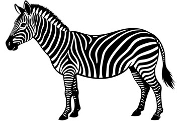 Zebra Silhouette vector illustration white background