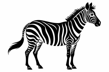 Zebra Silhouette vector illustration white background