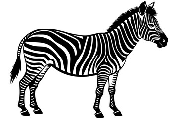 Zebra Silhouette vector illustration white background