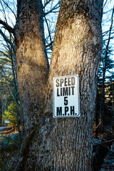 tree with speed limit 5mph